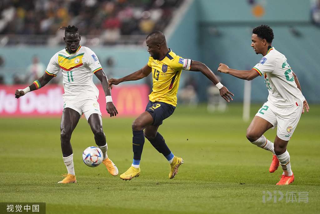世界杯-塞内加尔2-1厄瓜多尔晋级淘汰赛 萨尔、库利巴利建功 3 世界杯-塞内加尔2-1厄瓜多尔晋级淘汰赛 萨尔、库利巴利建功