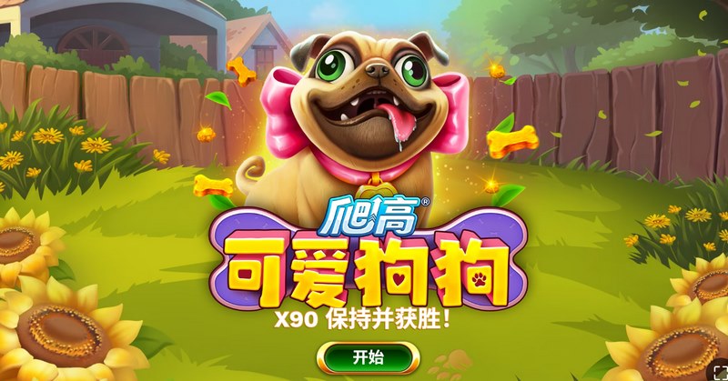 《爬高可爱狗狗》——萌宠攀爬的欢乐冒险 5 爬高可爱狗狗